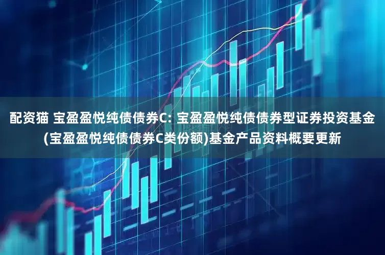 配资猫 宝盈盈悦纯债债券C: 宝盈盈悦纯债债券型证券投资基金(宝盈盈悦纯债债券C类份额)基金产品资料概要更新