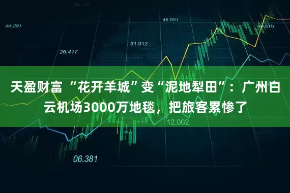 天盈财富 “花开羊城”变“泥地犁田”：广州白云机场3000万地毯，把旅客累惨了